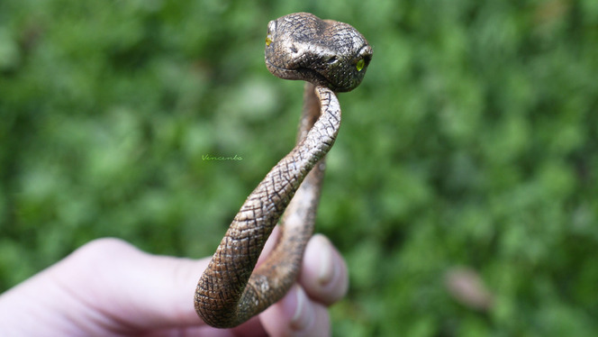Необычный браслет с золотой змейкой