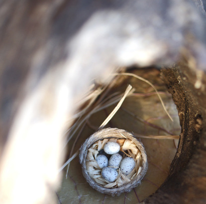 Брошь-гнездо "Перепелиные Яйца" от Дианы Великановой