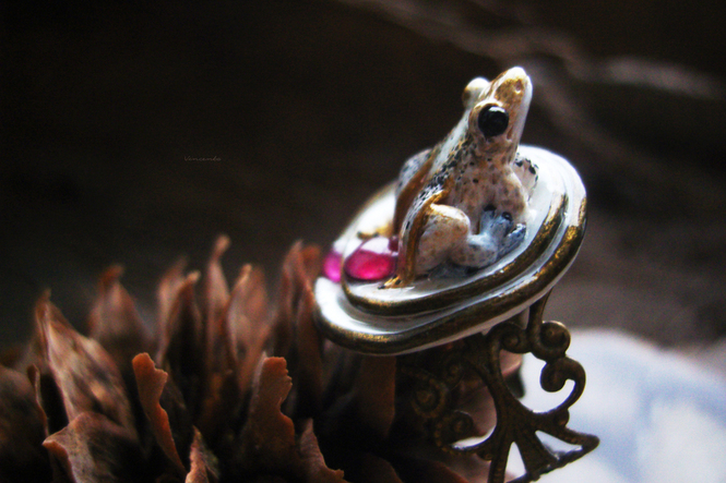 Волшебное кольцо лягушка-мотылёк с родолитами